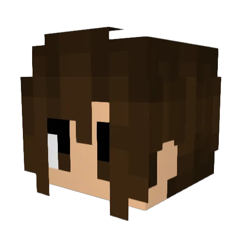 Bobadilha007 Minecraft avatar head, 3D render