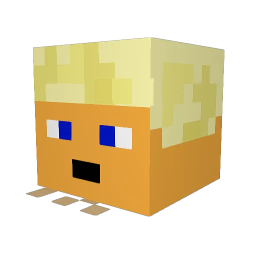 Bobahig Minecraft avatar head, 3D render