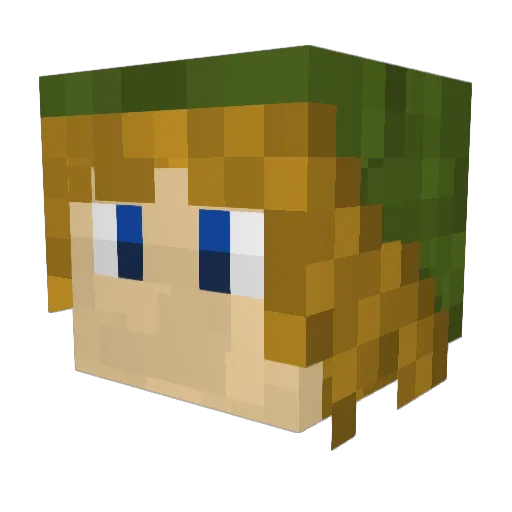 Bobalus Minecraft avatar head, 3D render