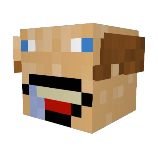 Bobarien Minecraft avatar head, 3D render