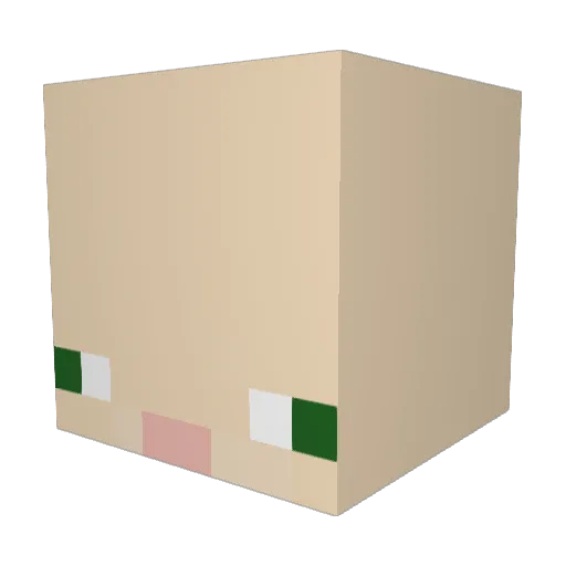 Bobas__ Minecraft avatar head, 3D render