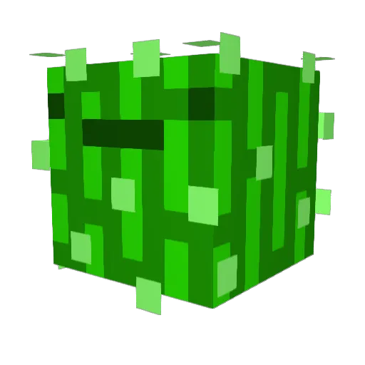 Bobaxgod Minecraft avatar head, 3D render