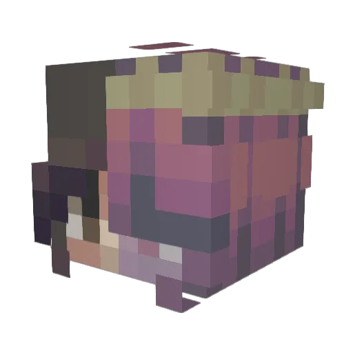 Bobba624 Minecraft avatar head, 3D render