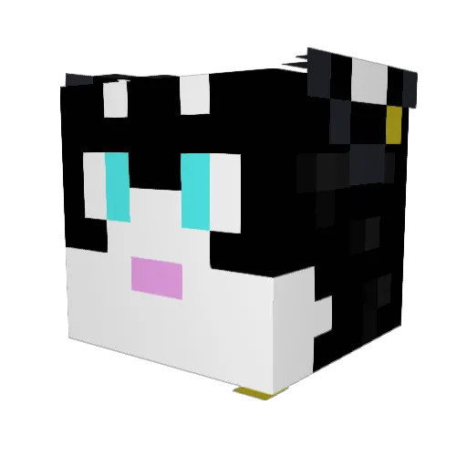 BobbehTheBest Minecraft avatar head, 3D render