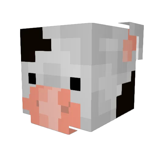 Bobbel2222 Minecraft avatar head, 3D render