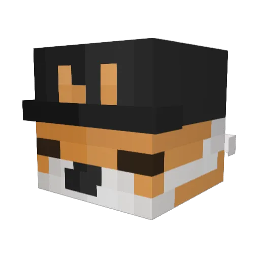 Bobbert123 Minecraft avatar head, 3D render