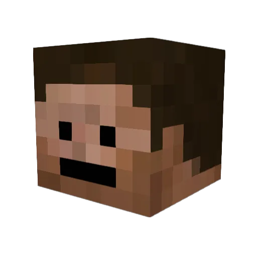Bobbie_ Minecraft avatar head, 3D render
