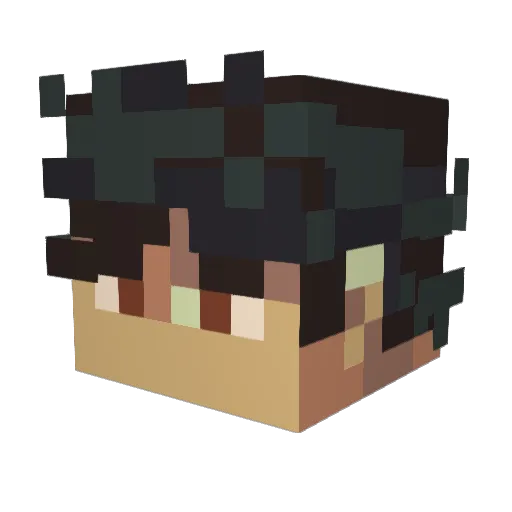 BobbigTuna Minecraft avatar head, 3D render