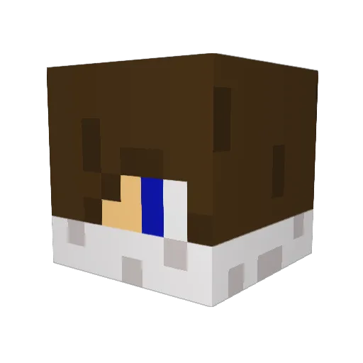 Bobbillyjohnsen Minecraft avatar head, 3D render