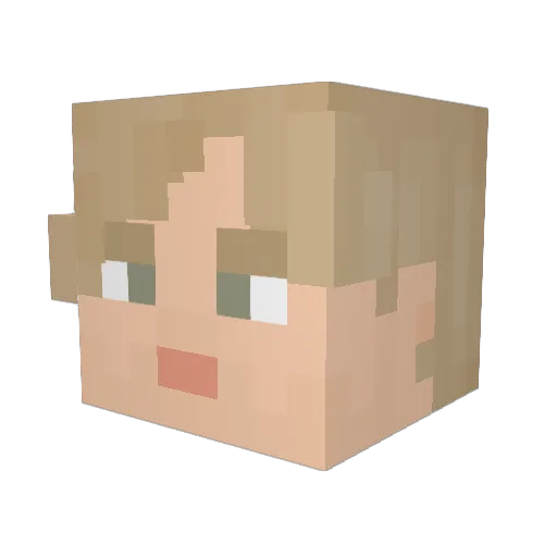 Bobboswiggy Minecraft avatar head, 3D render
