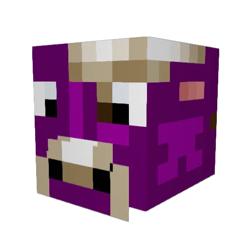 Bobby444_ Minecraft avatar head, 3D render