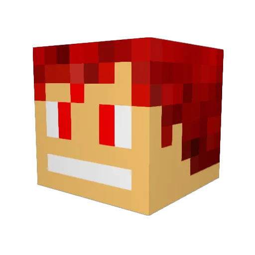 Bobby489 Minecraft avatar head, 3D render