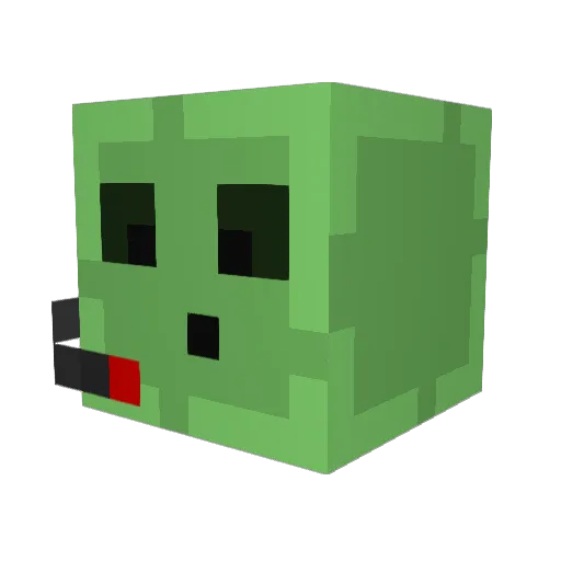 Bobby5589 Minecraft avatar head, 3D render