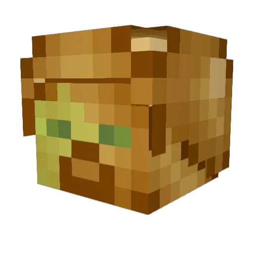 Bobby7311 Minecraft avatar head, 3D render