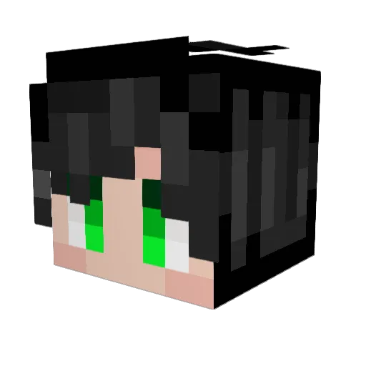 BobbyBBLTS Minecraft avatar head, 3D render