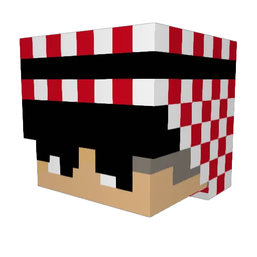 Bobby__Lee Minecraft avatar head, 3D render