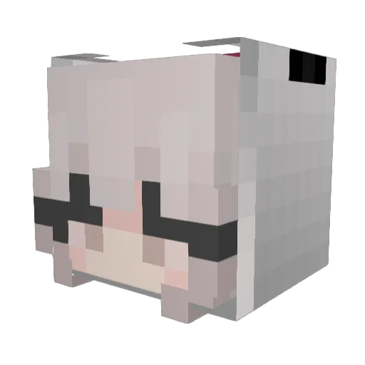 Bobby_big_king Minecraft avatar head, 3D render