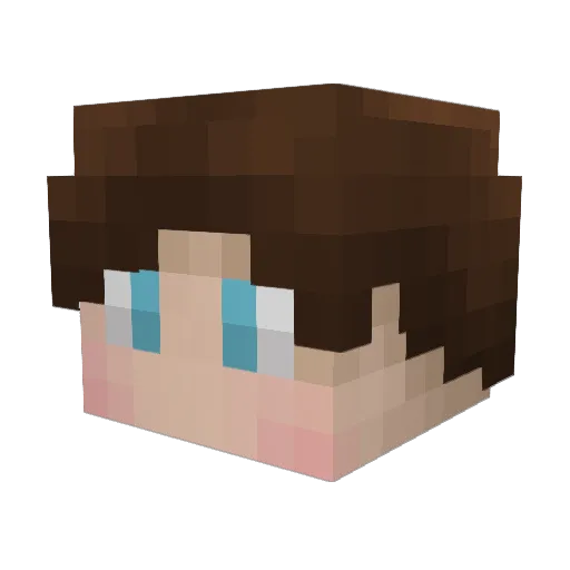 Bobby_night Minecraft avatar head, 3D render