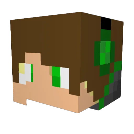 BobbyleeNJenny Minecraft avatar head, 3D render