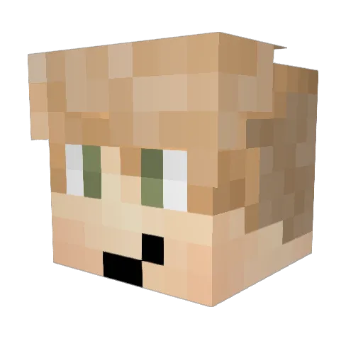 Bobbyson Minecraft avatar head, 3D render