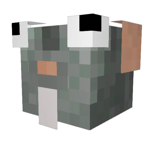 Bobbyx_ Minecraft avatar head, 3D render