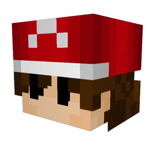 Bobcrafter05 Minecraft avatar head, 3D render