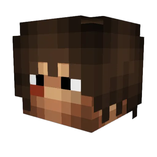 Bobdan13 Minecraft avatar head, 3D render