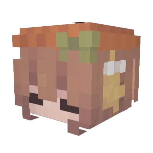 BobeCraft Minecraft avatar head, 3D render