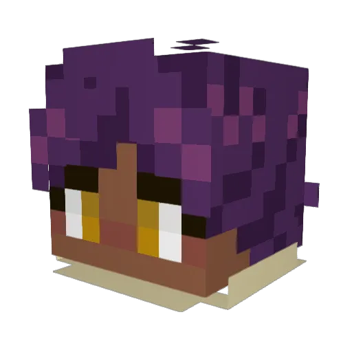 Bober_007 Minecraft avatar head, 3D render