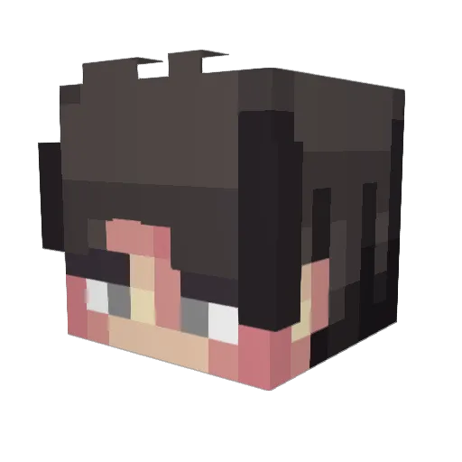 Boberegor Minecraft avatar head, 3D render