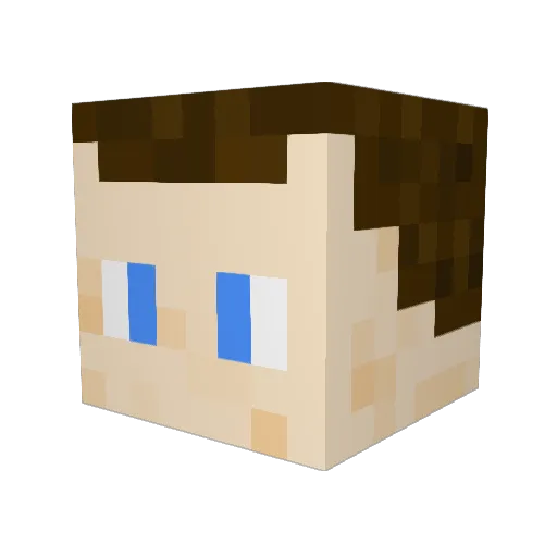 BoberinoSagetino Minecraft avatar head, 3D render