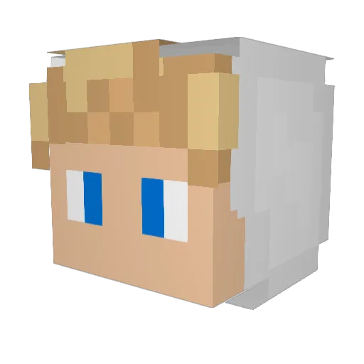Bobert08 Minecraft avatar head, 3D render