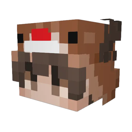 Bobertzel Minecraft avatar head, 3D render