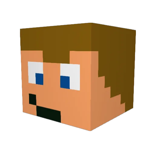 Bobfriedix Minecraft avatar head, 3D render