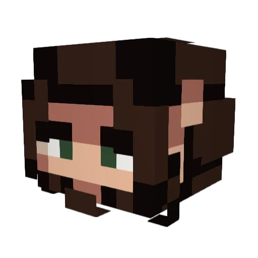 Bobiam420 Minecraft avatar head, 3D render