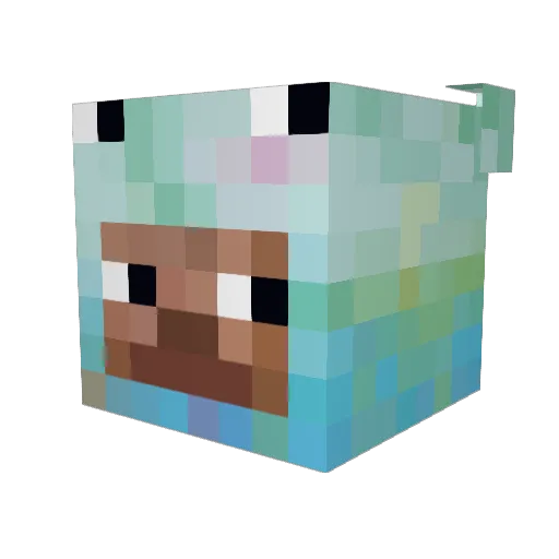 Bobir_ Minecraft avatar head, 3D render