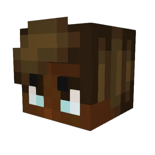 BobisStoppid Minecraft avatar head, 3D render