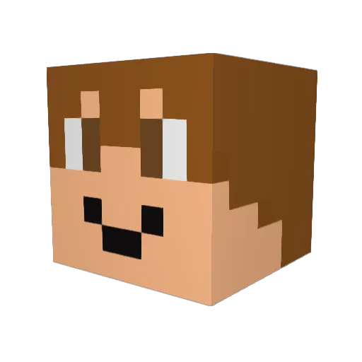 Bobking16 Minecraft avatar head, 3D render