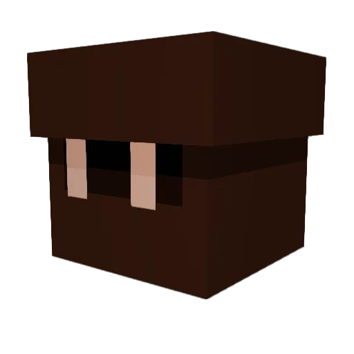 Bobmaster7785 Minecraft avatar head, 3D render