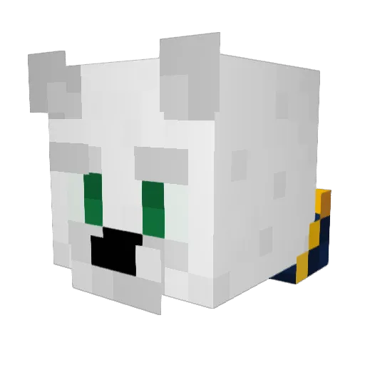 Bobnet45 Minecraft avatar head, 3D render