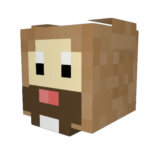 BoboET Minecraft avatar head, 3D render