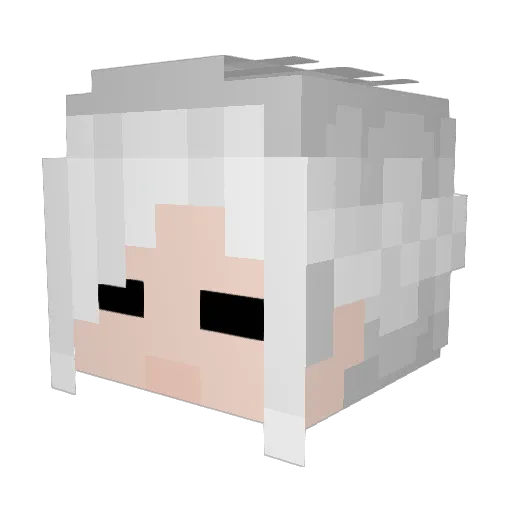 BoboFaeggins Minecraft avatar head, 3D render