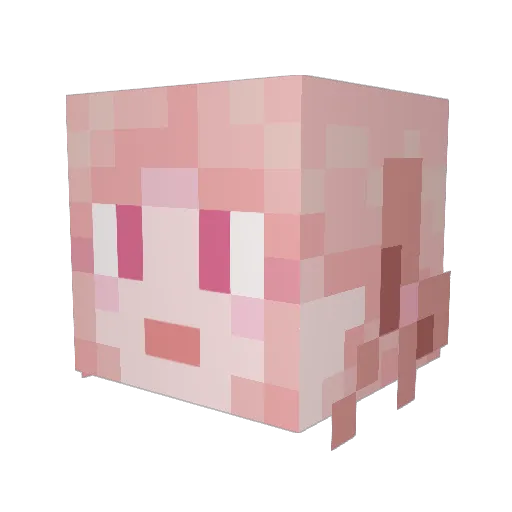 Bobo_1116 Minecraft avatar head, 3D render