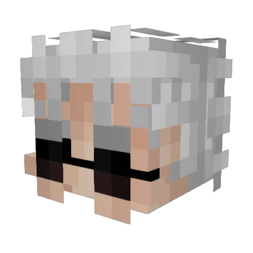 Bobobo779 Minecraft avatar head, 3D render