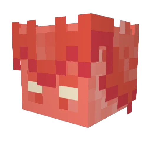 Bobodoggydog Minecraft avatar head, 3D render