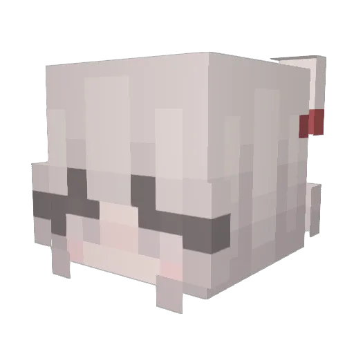 Boboonk03 Minecraft avatar head, 3D render