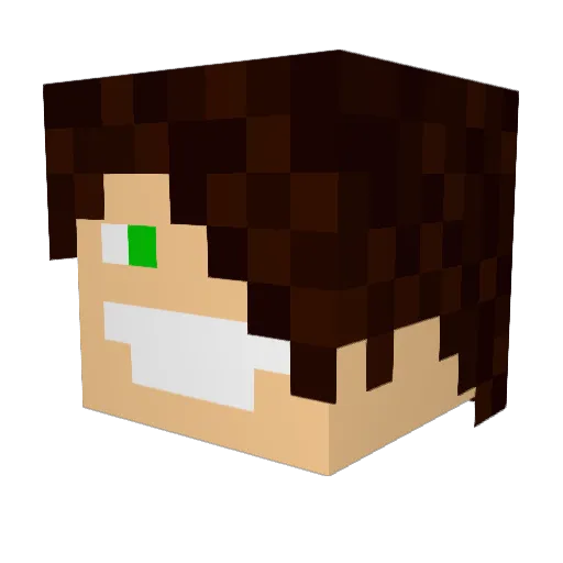Bobr74 Minecraft avatar head, 3D render