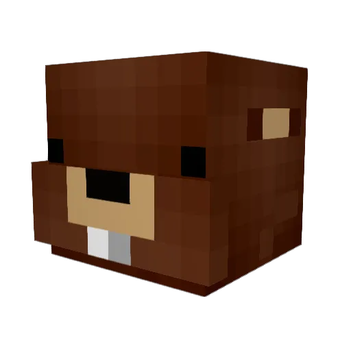 Bobrerlezni Minecraft avatar head, 3D render