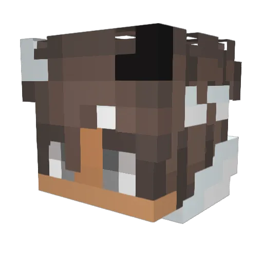 Bobruczek Minecraft avatar head, 3D render