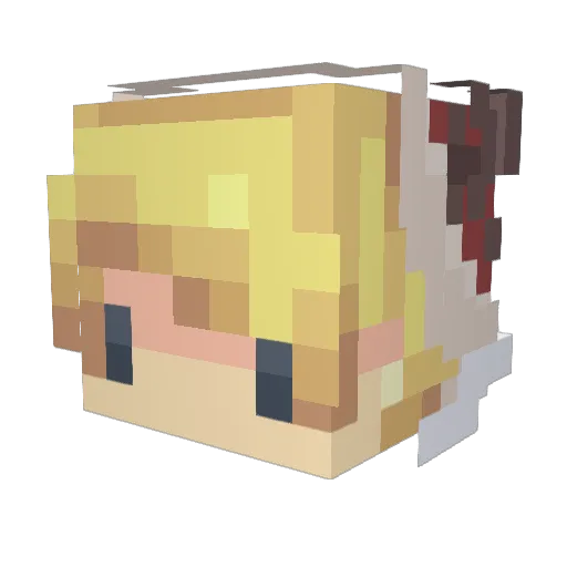 Bobry777 Minecraft avatar head, 3D render